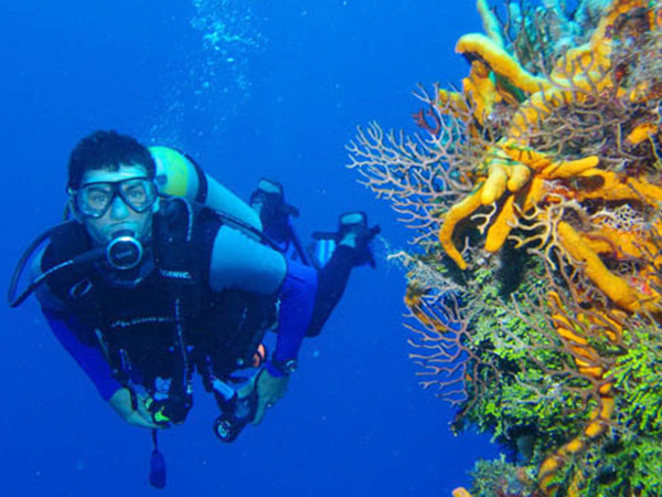 壓縮機企業(yè)降本增效現(xiàn)存誤區(qū)解讀